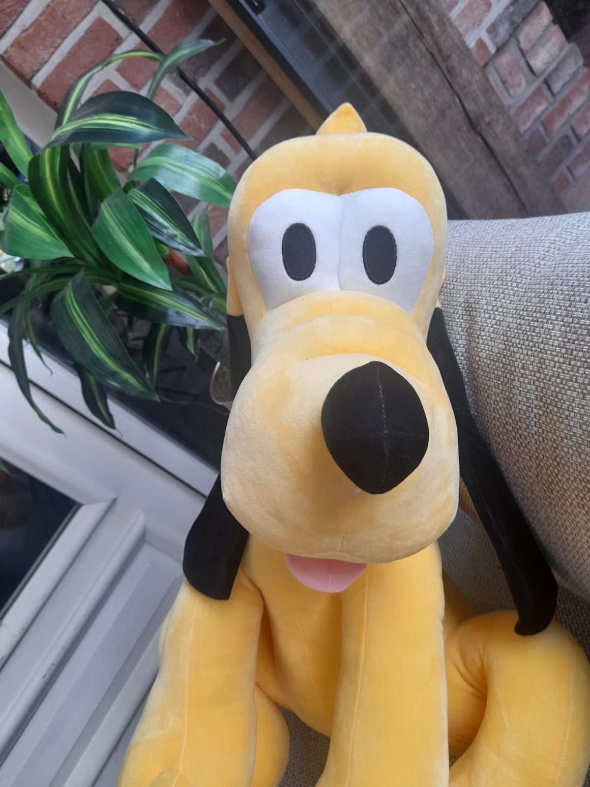 Grote Pluto knuffel - nieuw 63 cm, Ophalen, Disney, Geel, Nieuw