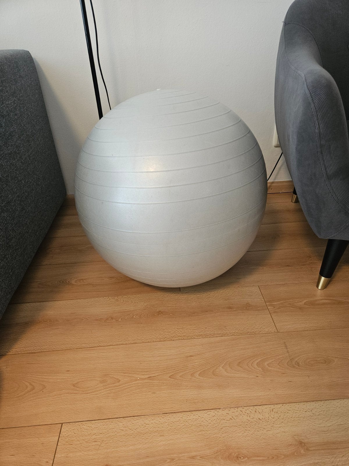 Gymbal 65 cm - Fitnessbal voor training en revalidatie, Ophalen, Gebruikt, Buik, Fitnessbal