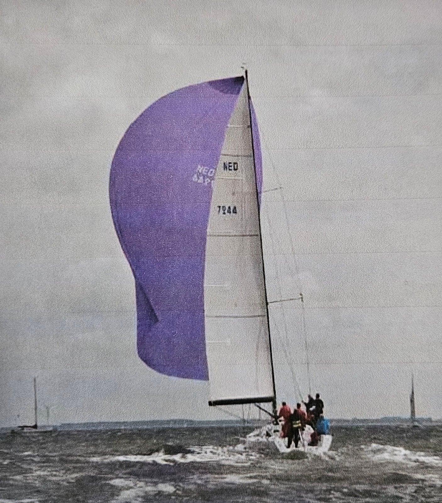 Genaker, paars voor voor 40 - 50 voeter, Watersport en Boten, Zeilen en Zeiltoebehoren, Ophalen, Zo goed als nieuw, Spinnaker