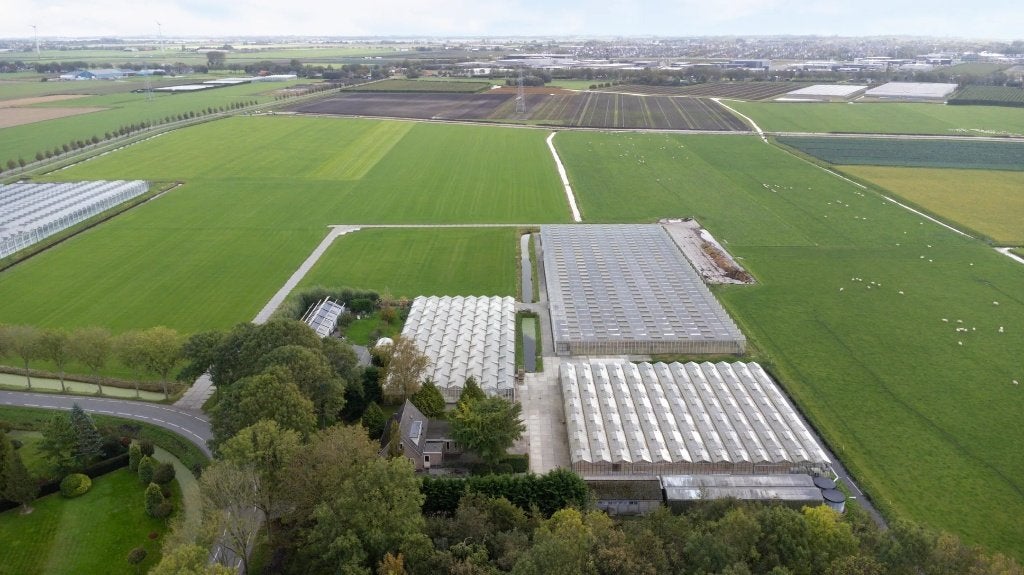 Kassen voor Hobby of Prof. tuinders of teelt 4300 m2 BIO, 4300 m², Huur, Creatieve ruimte