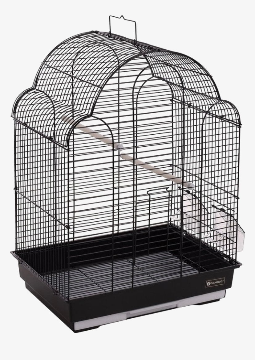 Gezocht grasparkiet kooi Breda gratis, Ophalen, Zo goed als nieuw, Hout, Vogelkooi