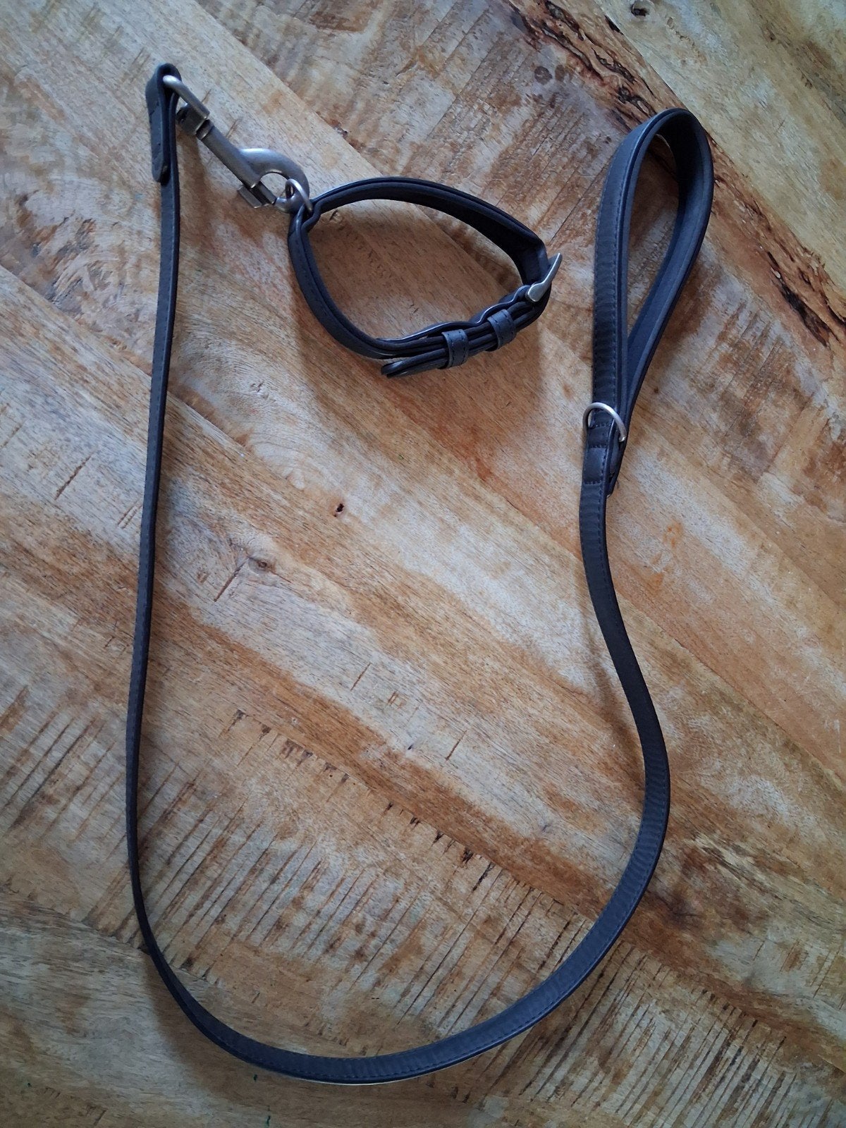 hondenriem en halsband  €20,00  *NIEUW*, Dieren en Toebehoren, Verzenden, Nieuw
