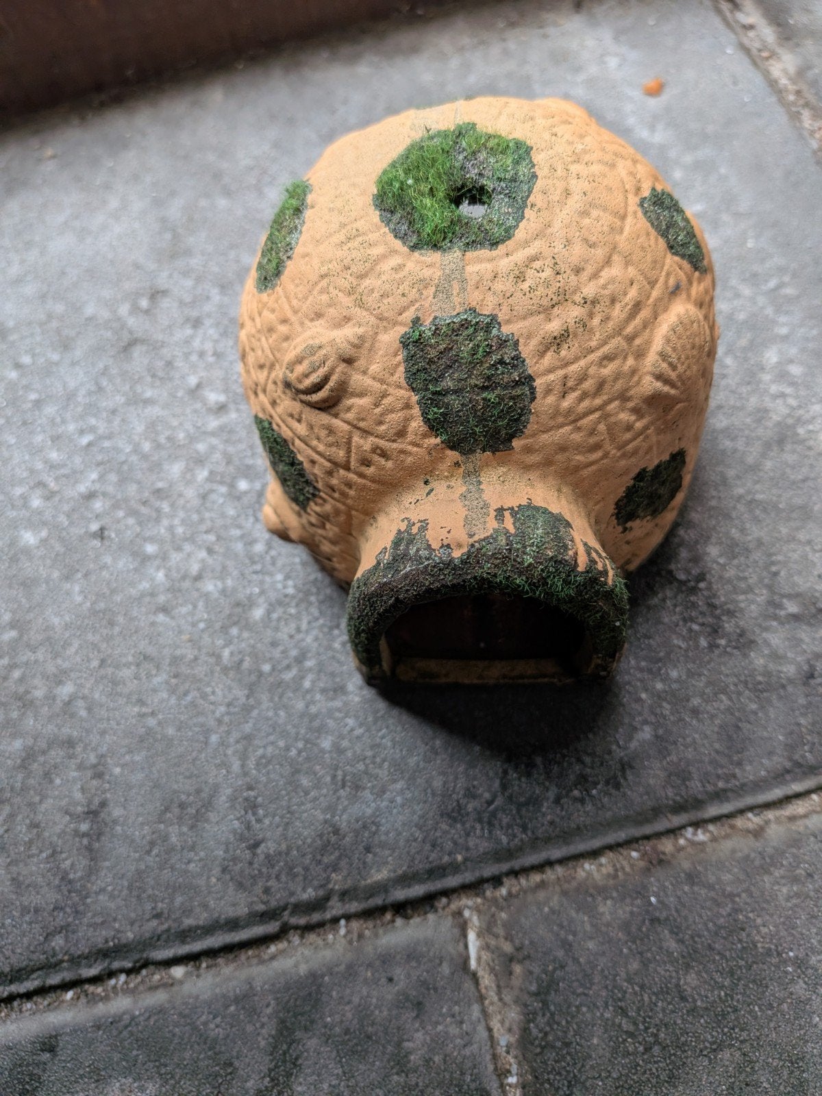 decoratie aquarium SpongeBob, Dieren en Toebehoren, Ophalen of Verzenden