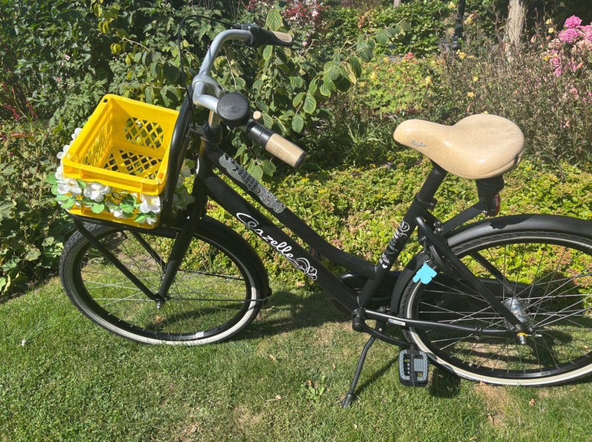 Gazelle Miss Grace mini Meisjes Zwart 41cm, Ophalen, Gebruikt, -, -