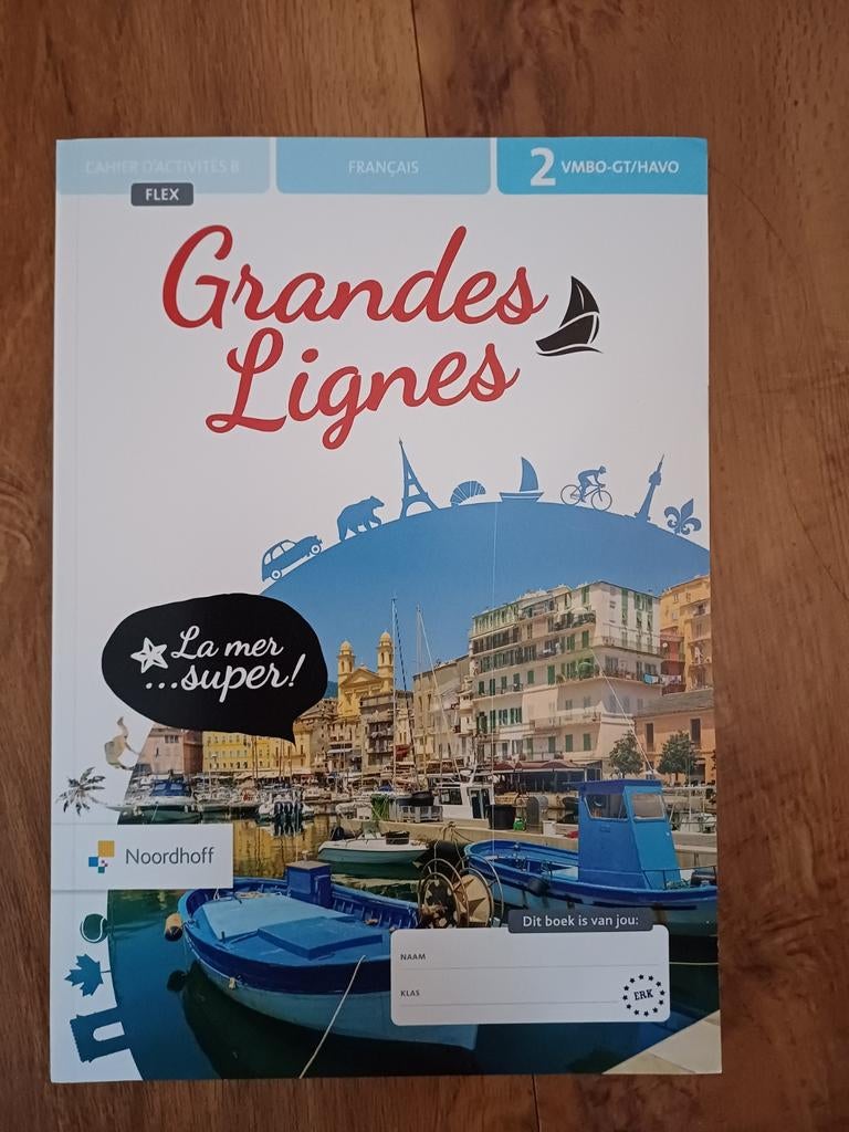 vmbo-gt/H 2 cahiers d'activités. Grandes Lignes. Nieuw, Boeken, Ophalen of Verzenden, Nieuw