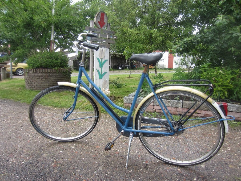 Vrolijke Kleurrijke Batavus Stadsfiets, Studentenfiets, Fietsen en Brommers, Fietsen | Dames | Damesfietsen, Ophalen, Terugtraprem
