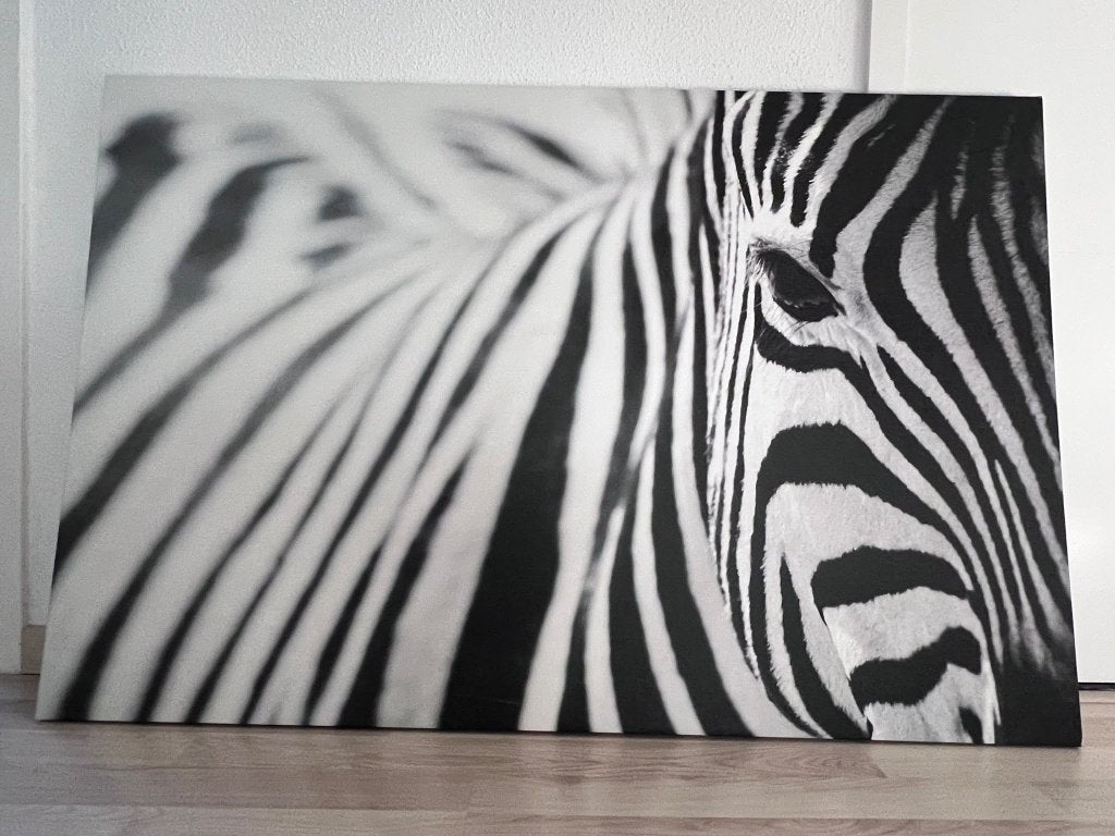 Schilderij zebra (118 x 78 cm), Antiek en Kunst, Ophalen, Overige materialen, Overige technieken, Dieren