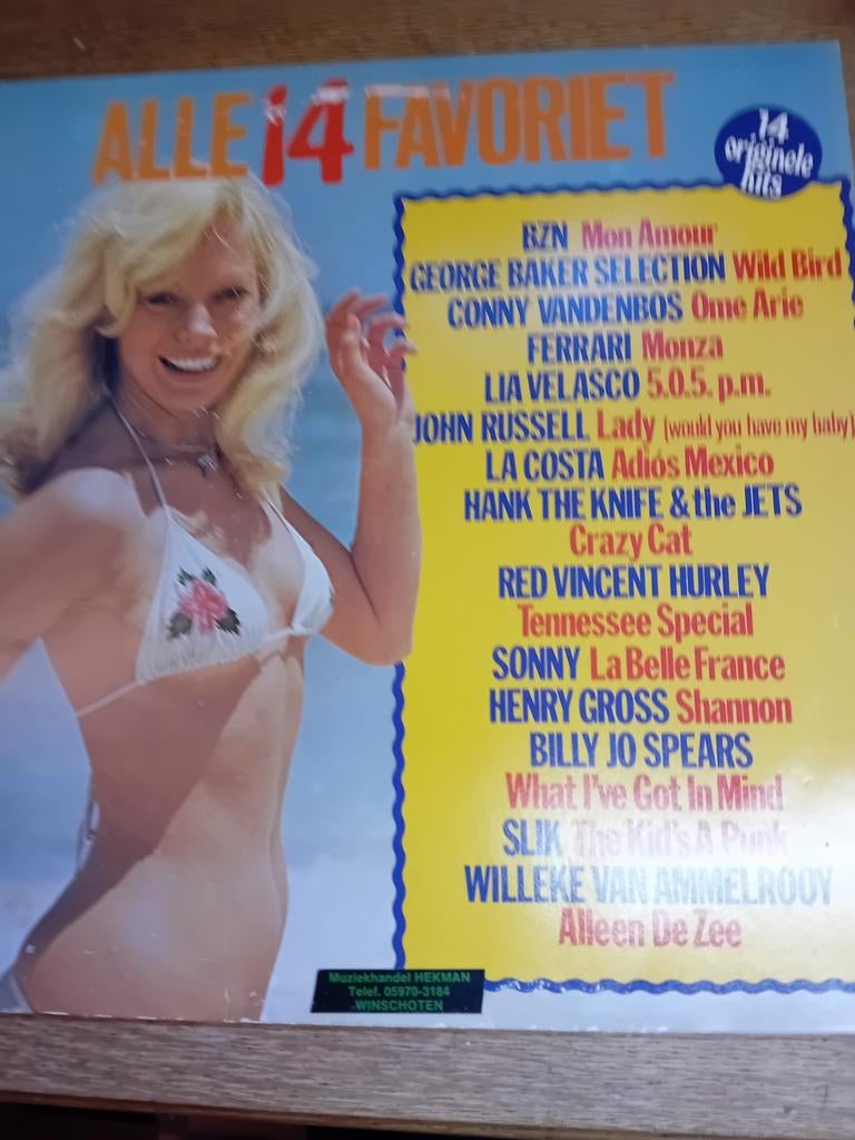 Alle 14 favoriet, Ophalen of Verzenden, Zo goed als nieuw, 12 inch