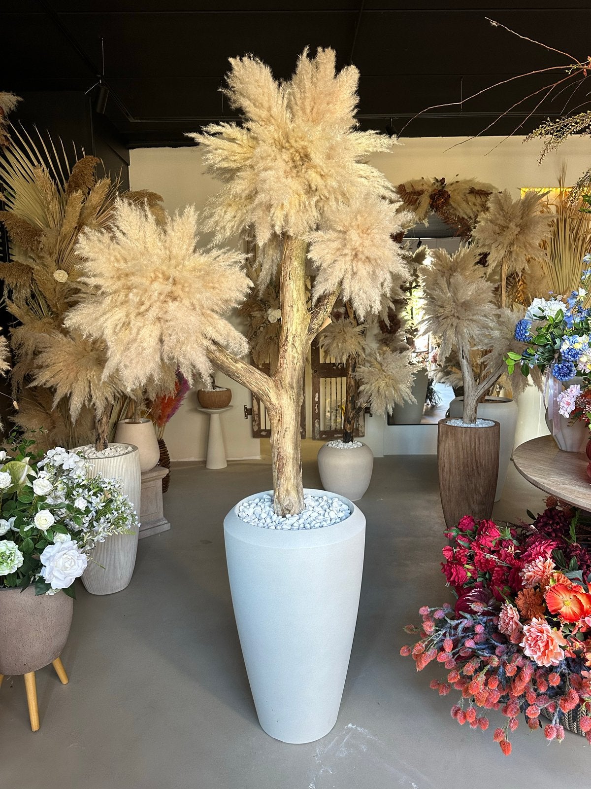 Handgemaakte Pampasboom - Pampas boom, Ophalen, Nieuw