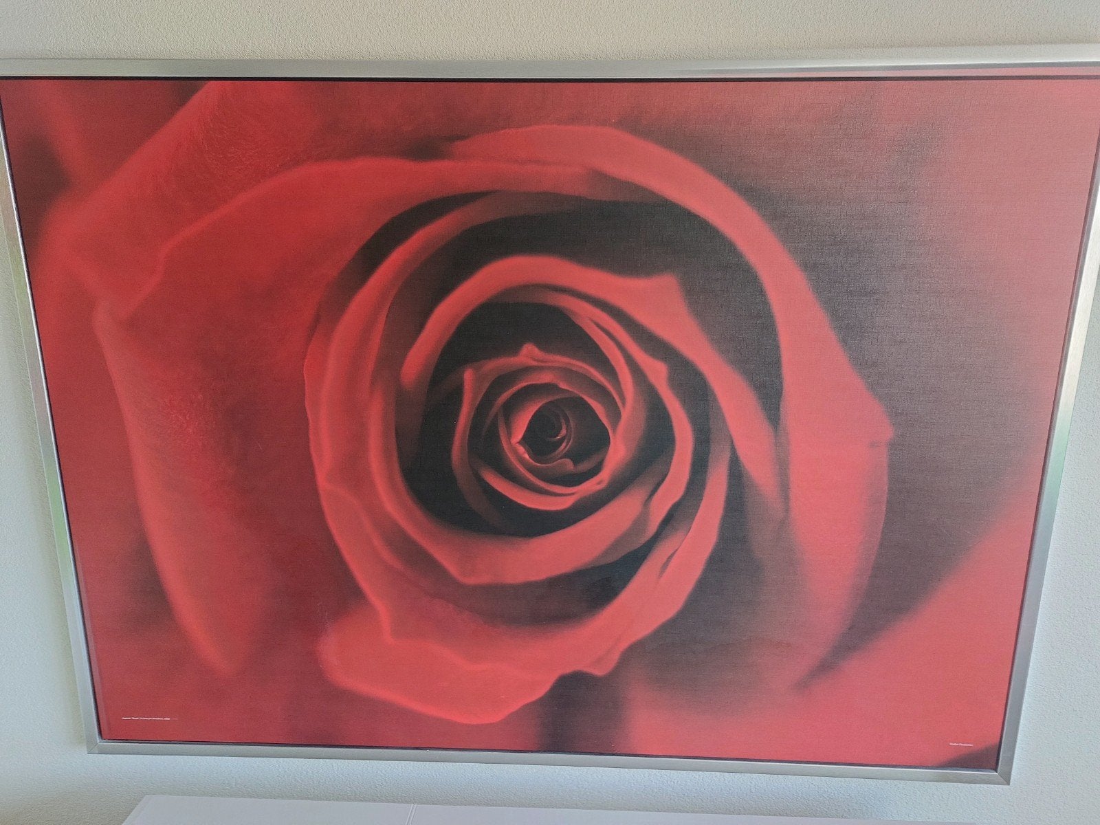 ikea Grote ingelijste foto van een rode roos, Huis en Inrichting, Ophalen, 125 cm of meer, Zo goed als nieuw, Foto of Poster