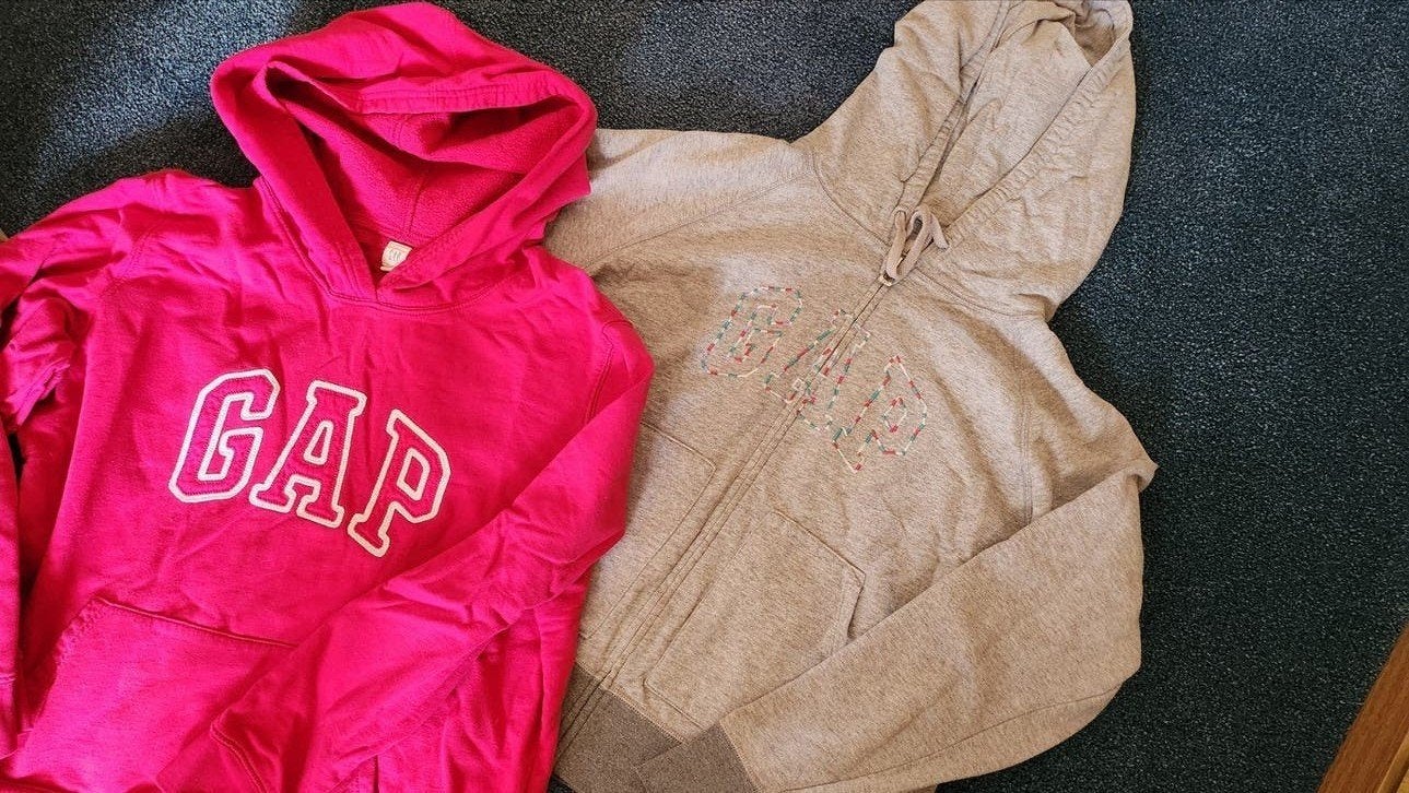 GAP hoodies maat L en XL, GAP, Maat 42/44 (L), Ophalen of Verzenden, Zo goed als nieuw