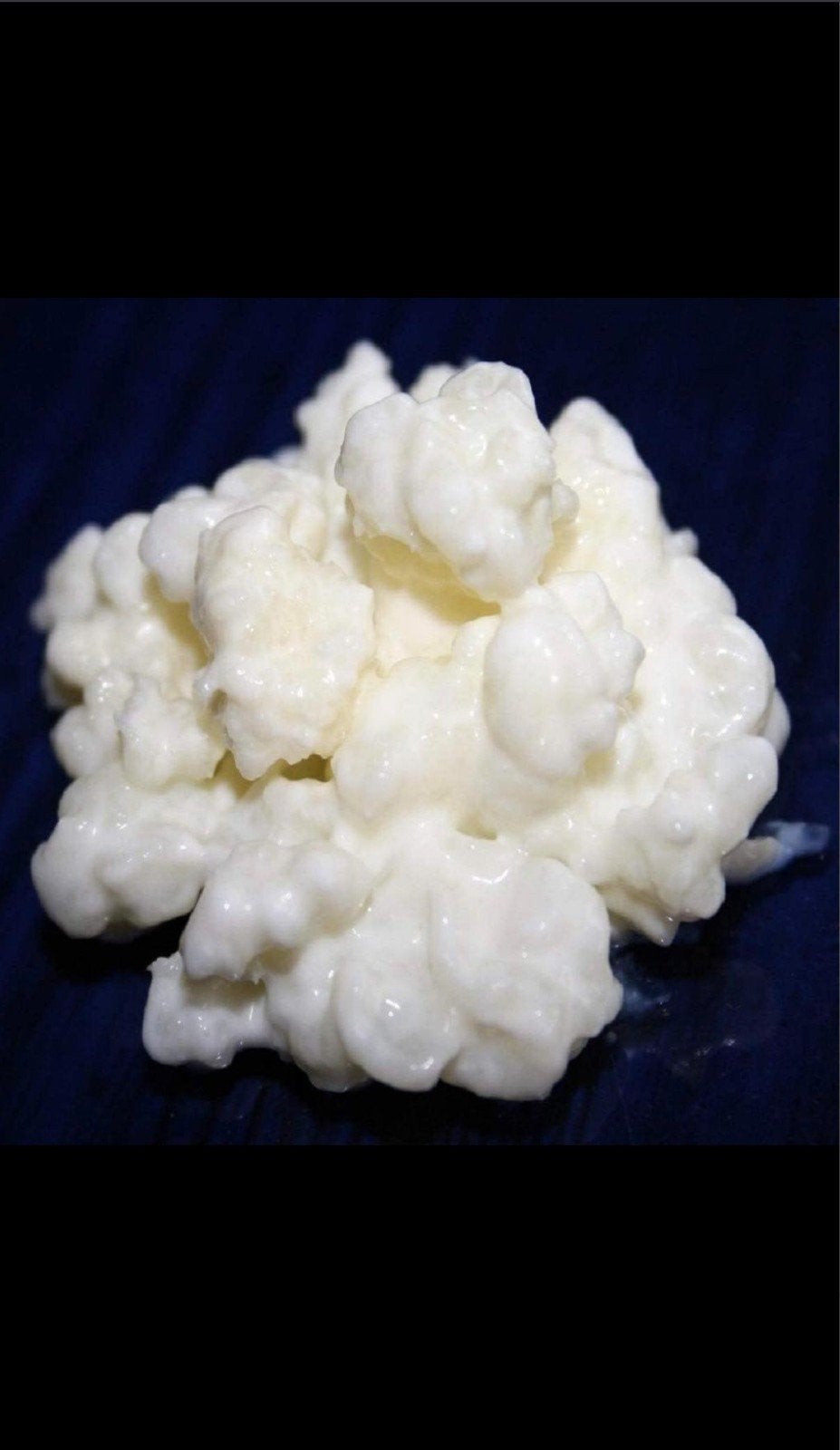 Gratis melkkefir korrels, Ophalen