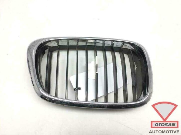 bmw 5 serie e39 2000 grille grill rechts nieuw!, Petuelring 130
80788  Munich, DE, Info@bmw.de, Rechts, Nieuw