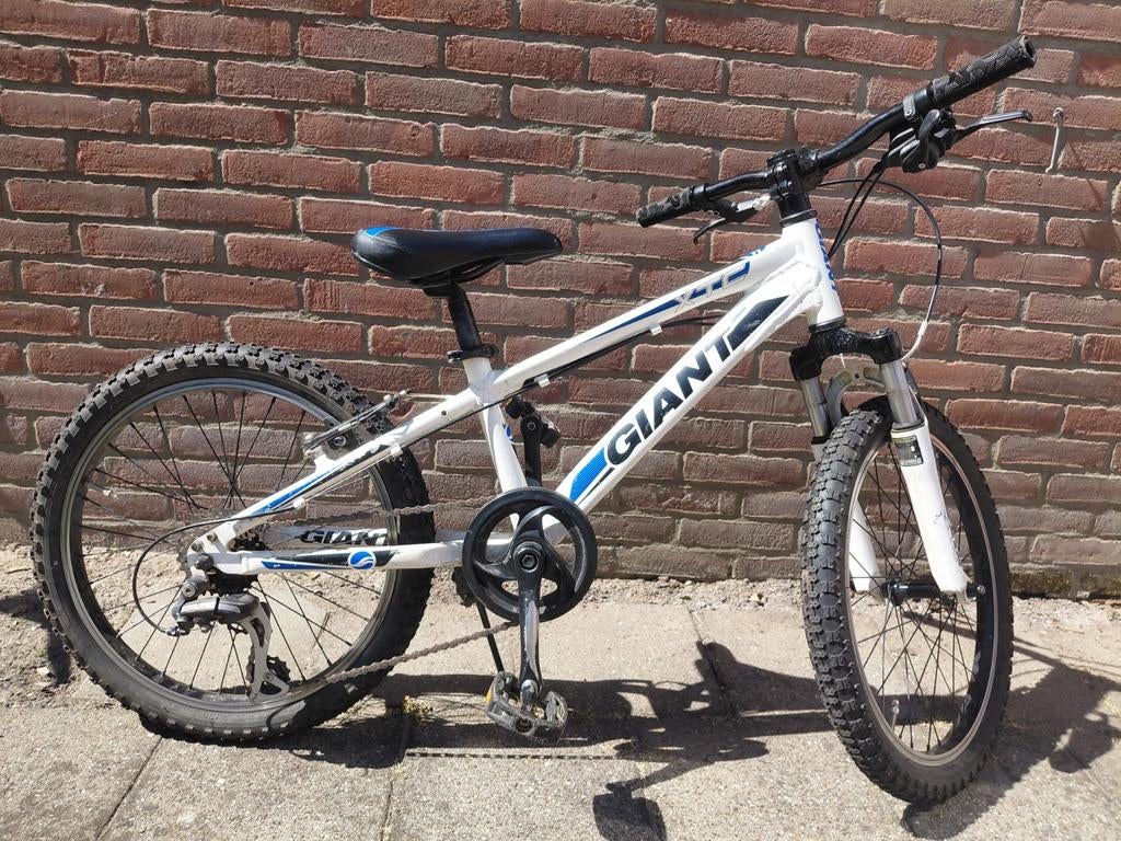 Giant kinderfiets 20 inch, Ophalen, Minder dan 10 versnellingen, Gebruikt, Giant