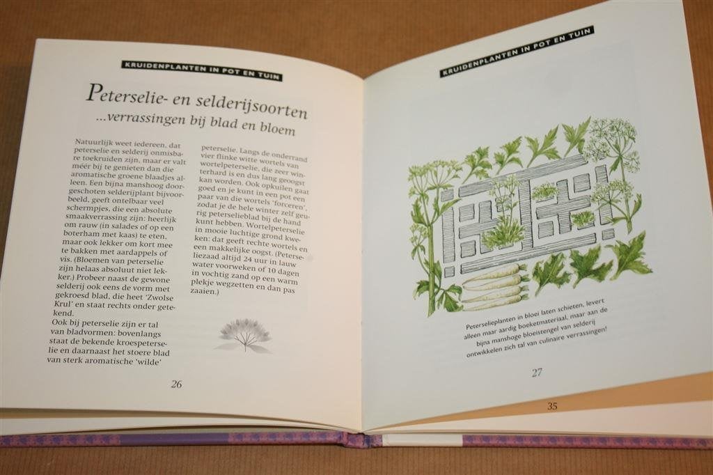Kruidenplanten in pot en tuin - Elisabeth de Lestrieux, Ophalen of Verzenden, Zo goed als nieuw, Tuinieren en Tuinplanten