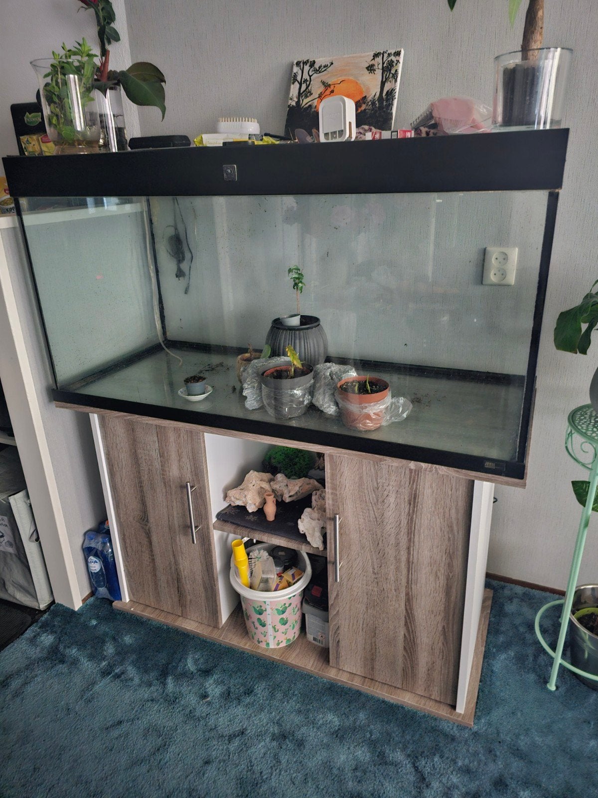 Compleet aqarium, Ophalen of Verzenden, Zo goed als nieuw