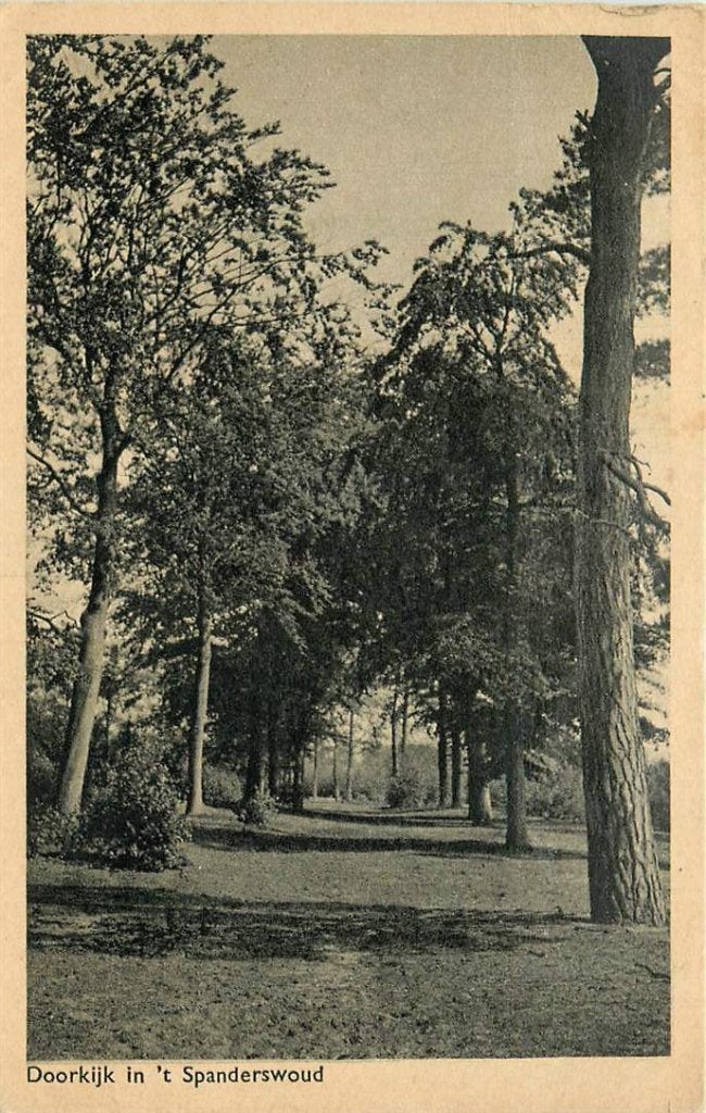 381-150-001 Spanderswoud Doorkijk, Verzenden, Voor 1920, Noord-Holland