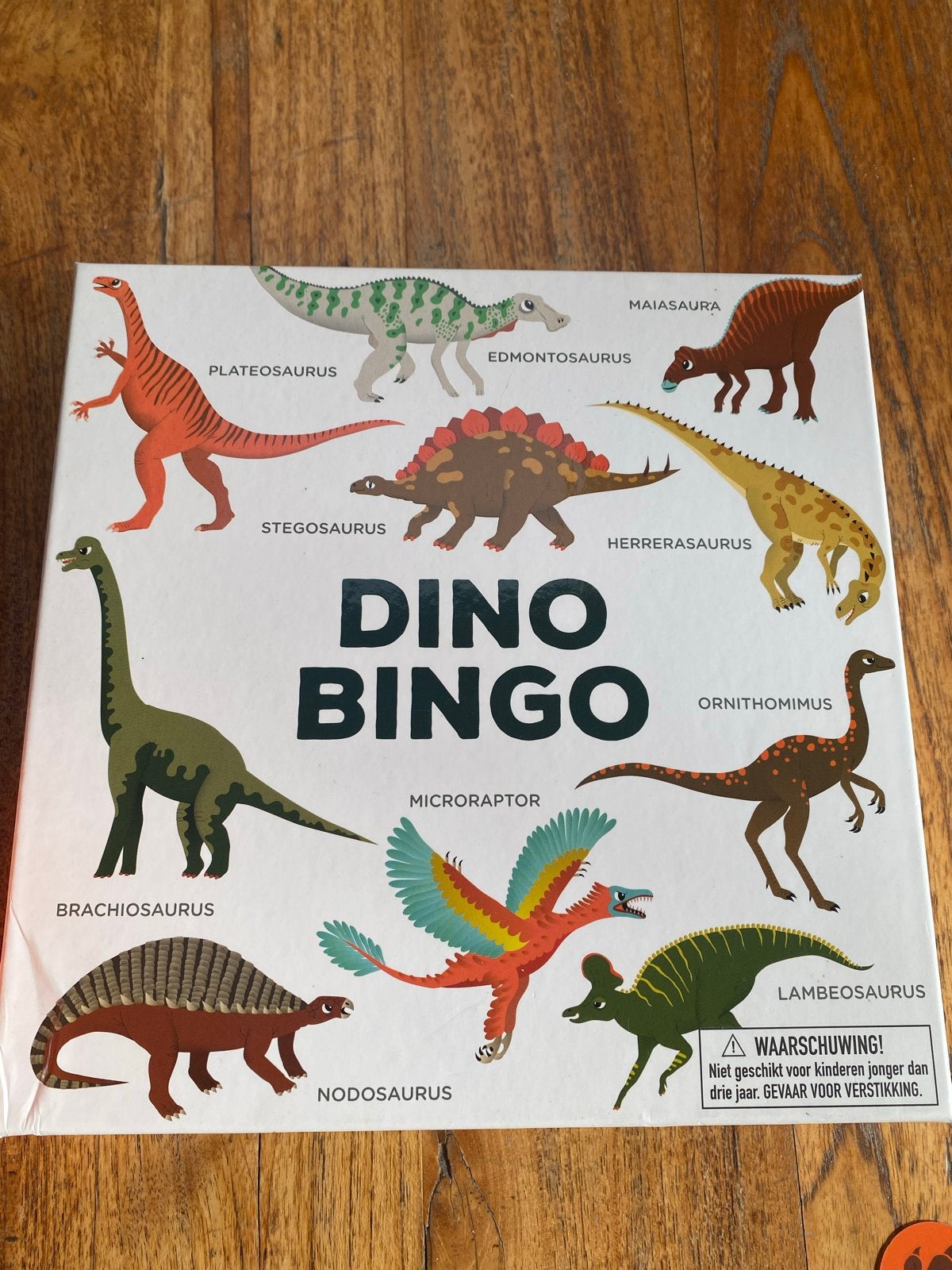 Dino Bingo - Leuk en leerzaam spel voor dinofans!, Een of twee spelers, Ophalen of Verzenden, Zo goed als nieuw