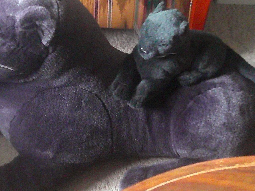 Knuffel dieren Panter 1meter en baby panter 20e, Ophalen, Jellycat, Disney, Overige typen