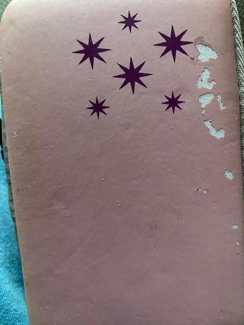 2 nintendo ds hoesje l.roze en 1 met sterretjes, Ophalen of Verzenden, Gebruikt, DS Lite