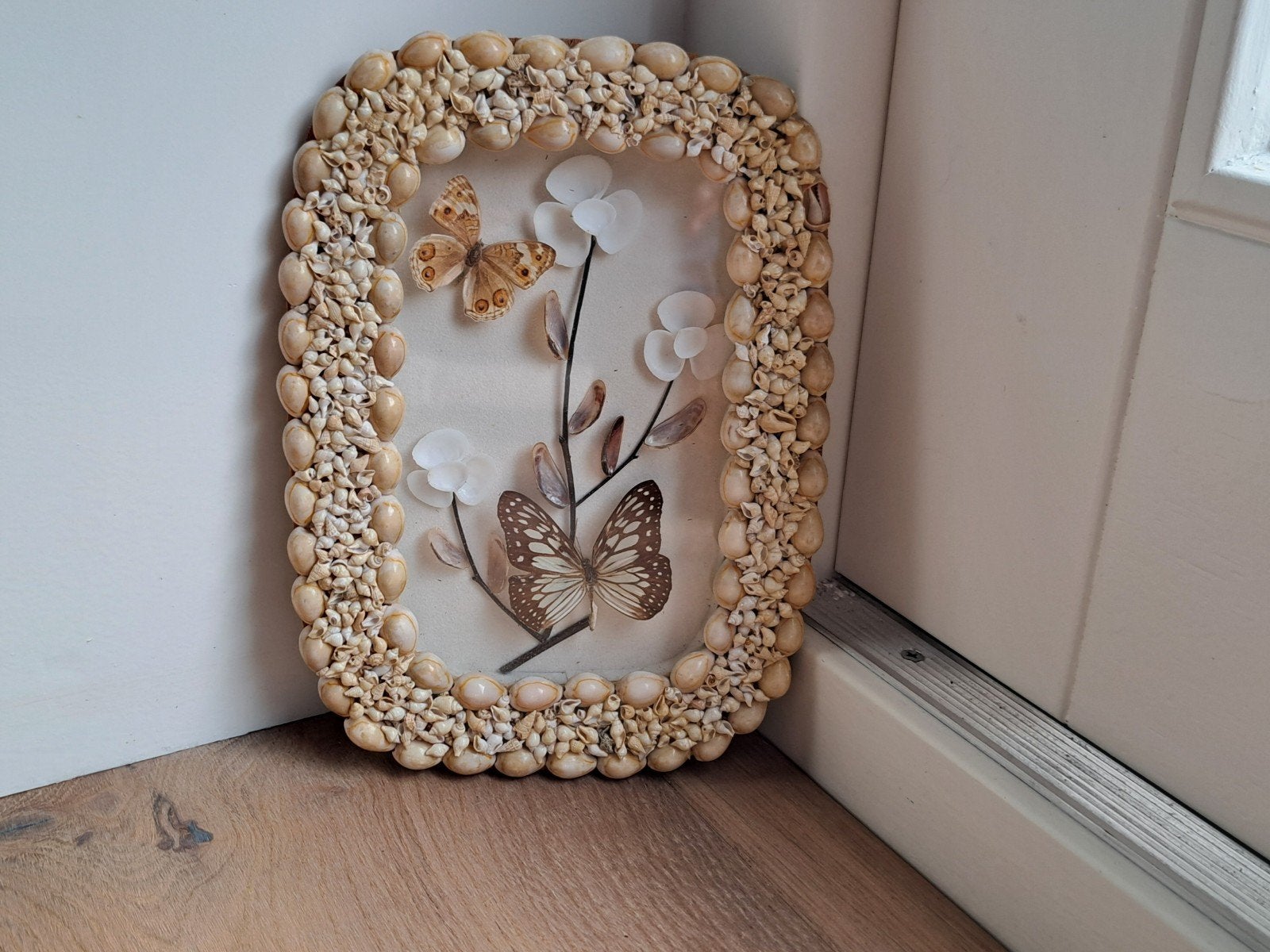 Lijstje met opgezette vlinders schelpen rand glas, Antiek en Kunst, Ophalen of Verzenden