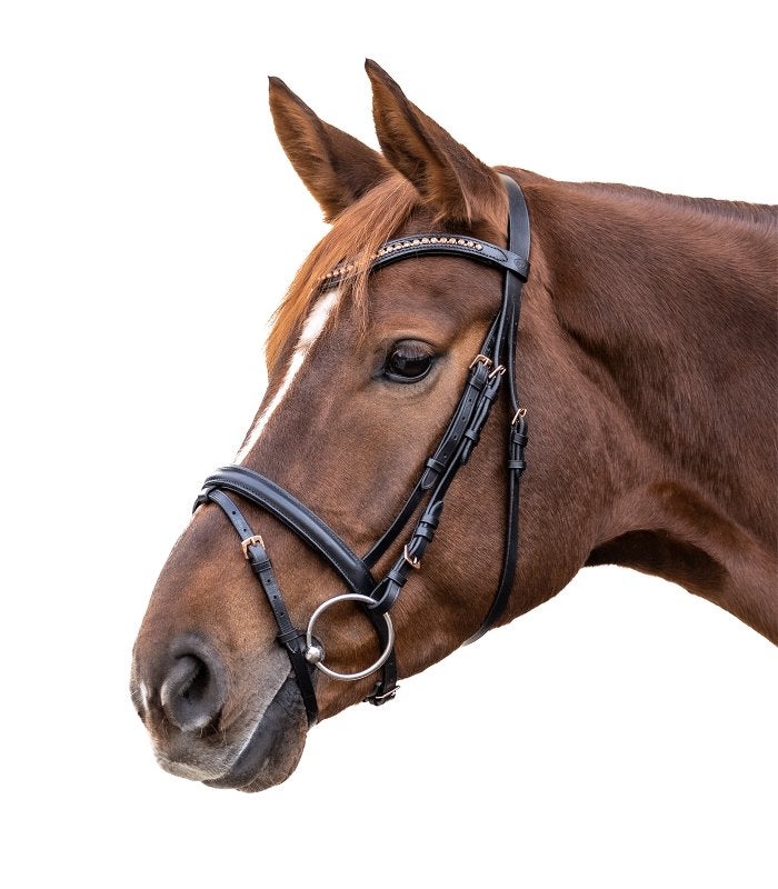 Star hoofdstel Rosemary Zwart/Roségoud maat Cob, Dieren en Toebehoren, Paarden en Pony's | Hoofdstellen en Tuigage, Dressuur, .