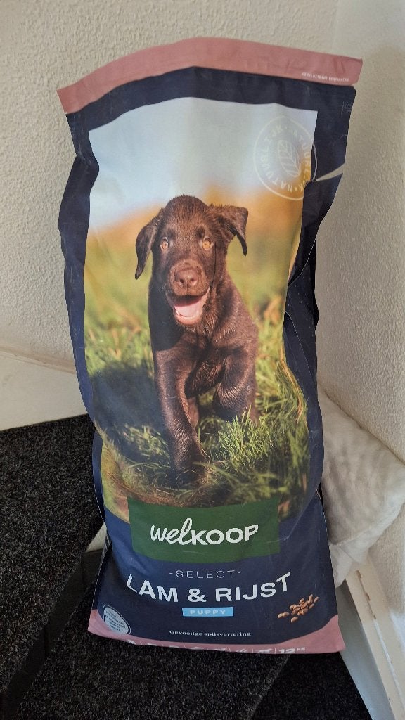 Welkoop puppy brokken lam rijst, Ophalen, Hond