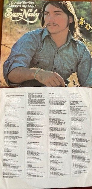 Sam Neeley/Fred Neil/Nilsson/Randy Newman/Laura Nyro:Christm, Cd's en Dvd's, Singer-songwriter, Ophalen of Verzenden, 12 inch