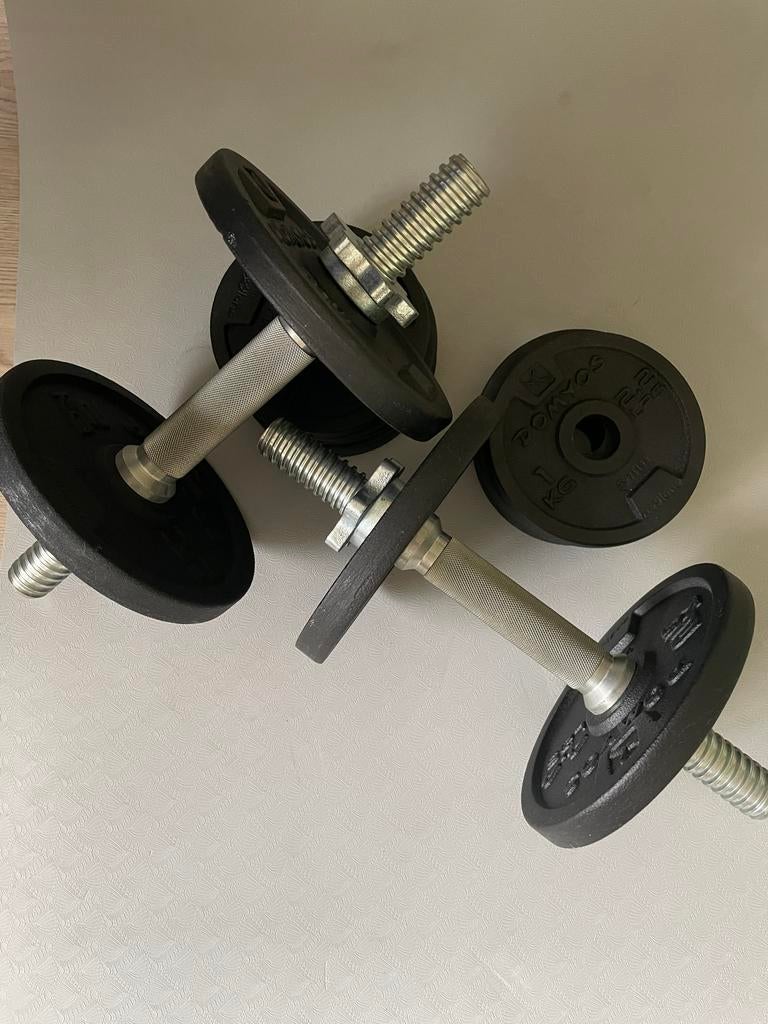 Decathlon 20kg set (with case), Ophalen of Verzenden, Zo goed als nieuw, Armen, Dumbbell