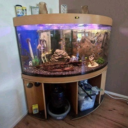hoek aquarium, Dieren en Toebehoren, Ophalen, Inclusief toebehoren, Gevuld zoetwateraquarium, Juwel