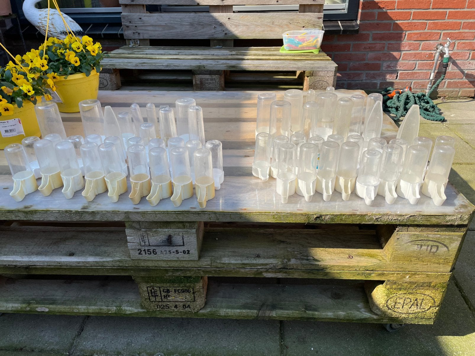 Diverse maten vam waterfrontjntjes te koop, Dieren en Toebehoren, Vogels | Hokken en Kooien, Ophalen, Gebruikt, Kunststof, Overige typen