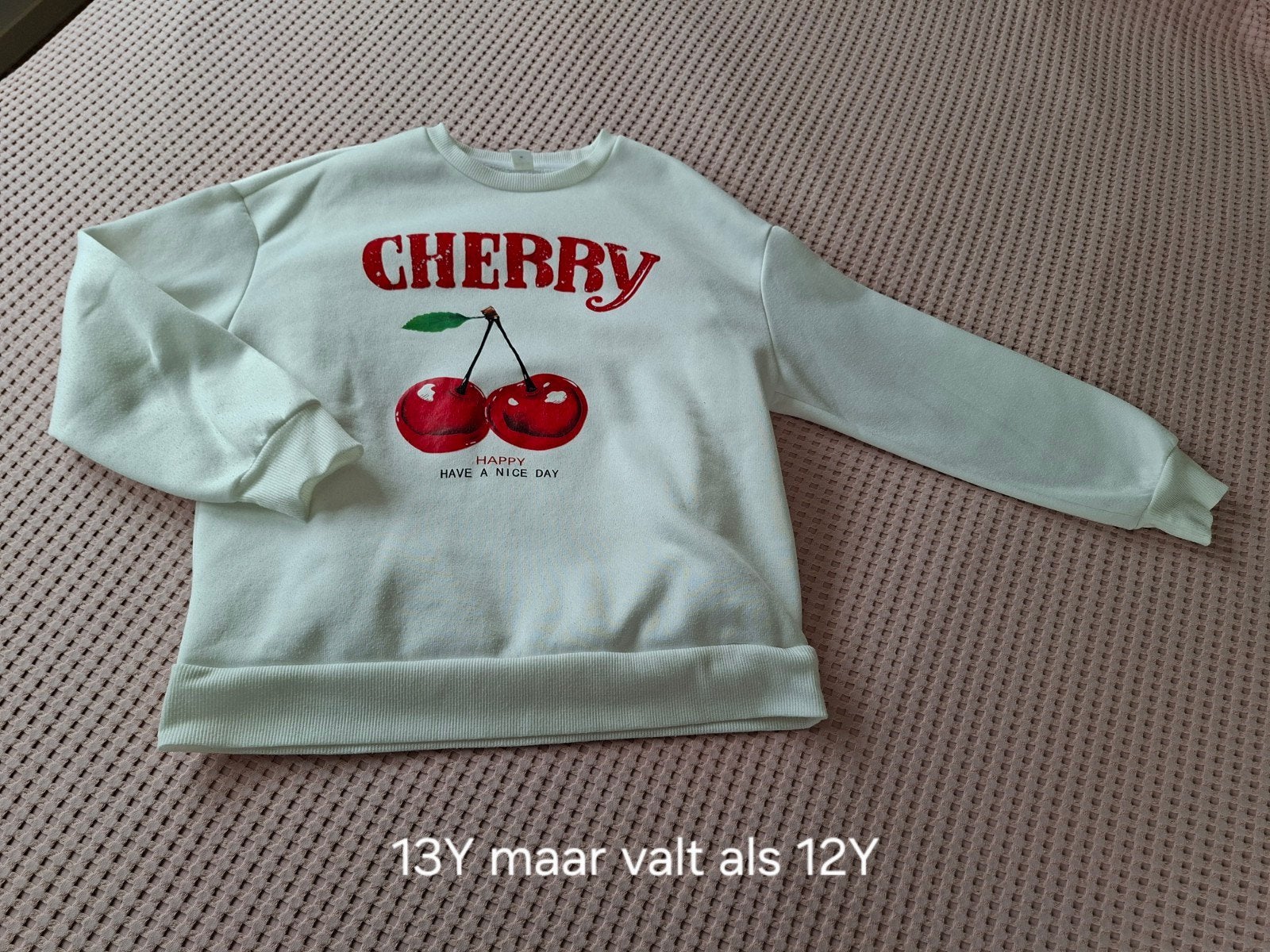 Diverse truien meisjes maat 152-158 (12 jaar), Kinderen en Baby's, Ophalen of Verzenden, Gebruikt, Meisje, Trui of Vest