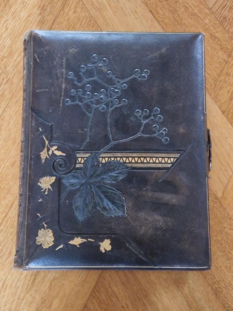 Antiek Victoriaans Lederen Foto Boek/Album Goud op snee, Antiek en Kunst, Ophalen of Verzenden