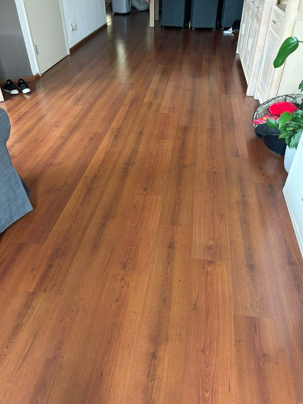 Laminaat ~60m2, Ophalen, Gebruikt, 50 tot 150 cm, 10 m² of meer