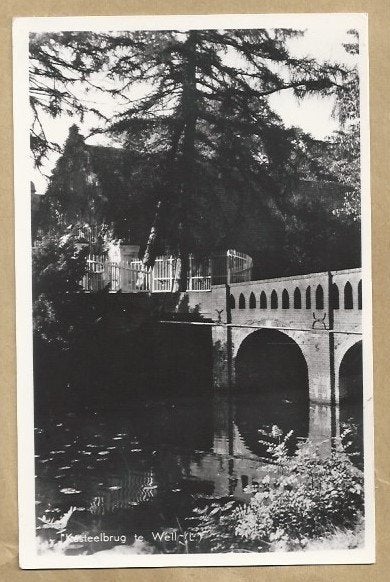 Ansichtkaart. Kasteel te Well. Limburg., Ophalen of Verzenden, 1960 tot 1980, Limburg
