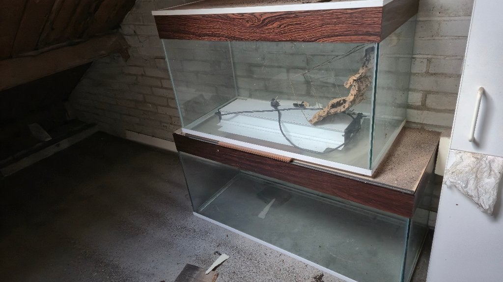 terrarium, Dieren en Toebehoren, Ophalen, Gebruikt, Terrarium of Paludarium