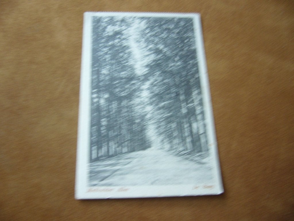 DE STEEG  =  MIDDACHTER ALLEE  BRIEFKAART  1928, Verzamelen, Ansichtkaarten | Nederland, Ophalen of Verzenden, 1920 tot 1940, Gelopen