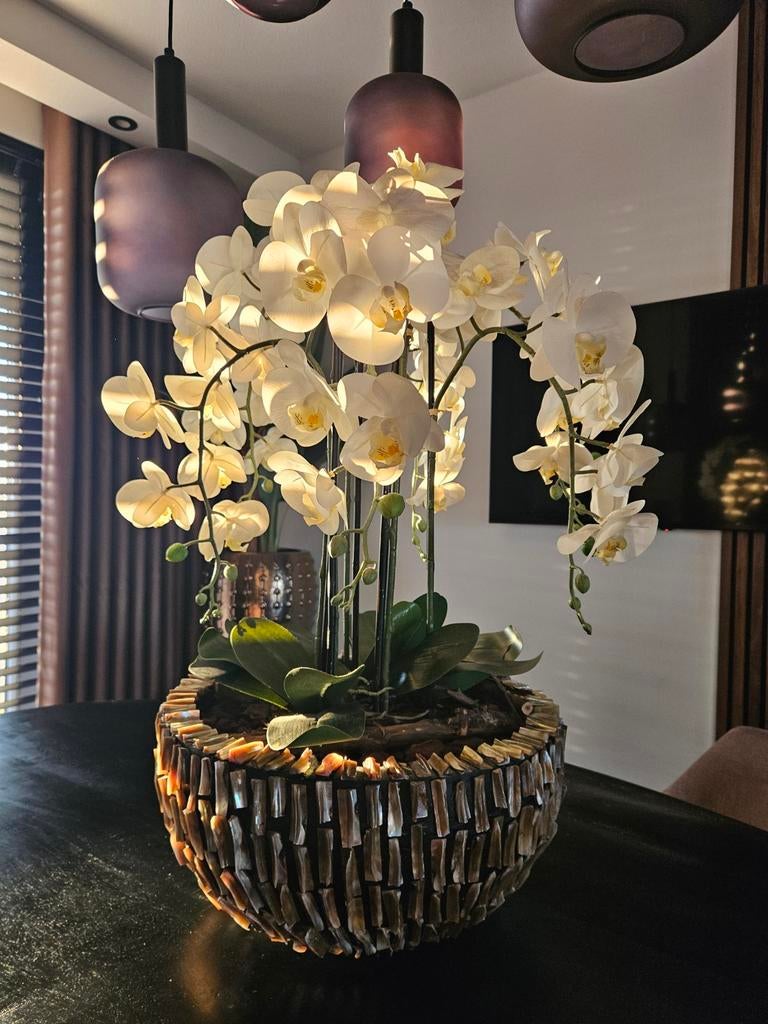 Kunst orchideen in schelpenpot, Huis en Inrichting, Ophalen of Verzenden