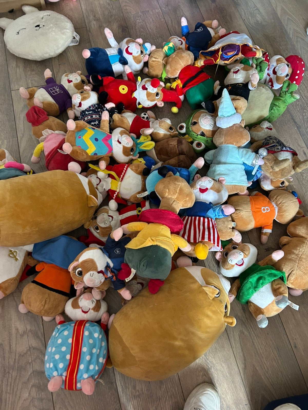 Ah hamsters 36 stuks, Ophalen, Zo goed als nieuw, Overige typen