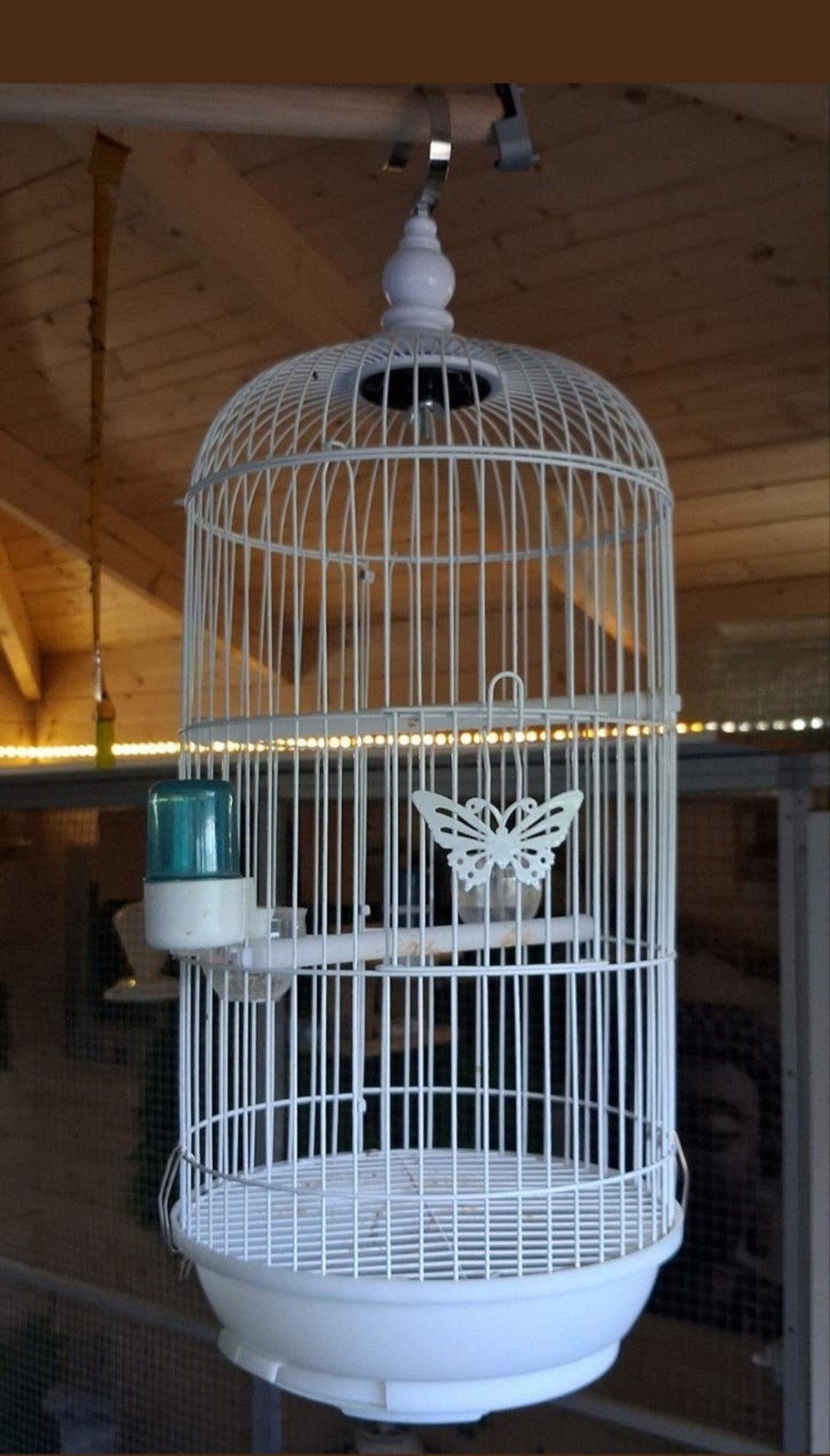 Leuke sierkooien, Dieren en Toebehoren, Vogels | Hokken en Kooien, Ophalen, Hout, Vogelkooi