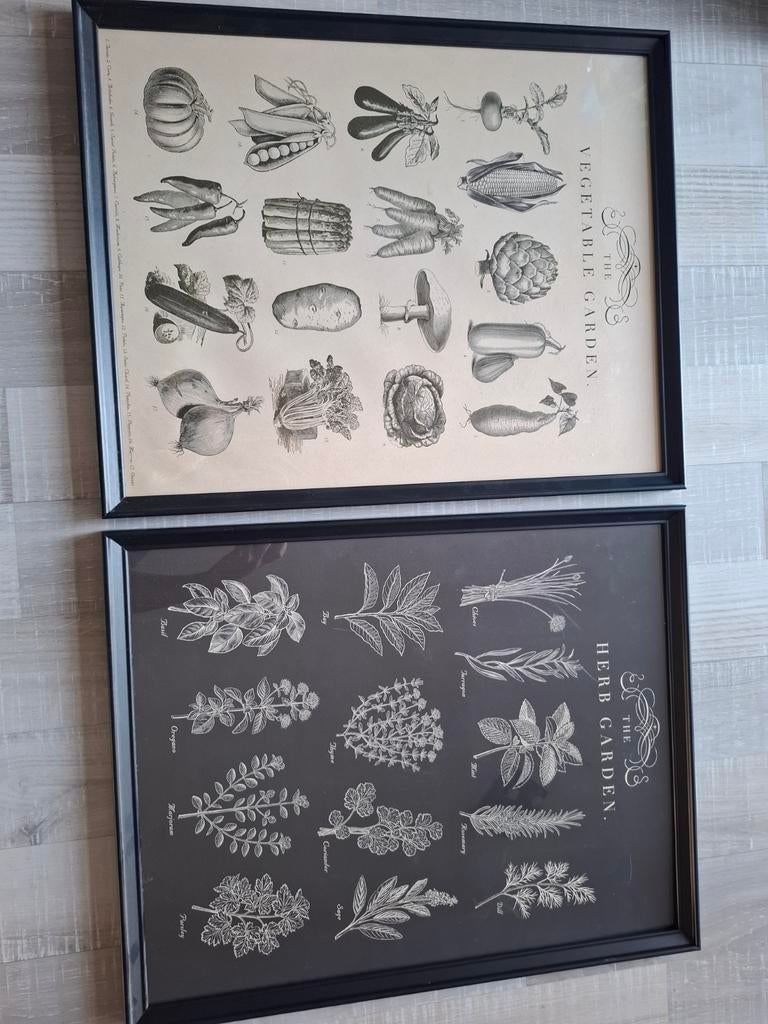 Ikea Knoppäng lijsten met poster 40x50cm, Ophalen, Gebruikt, Minder dan 50 cm, 50 tot 75 cm