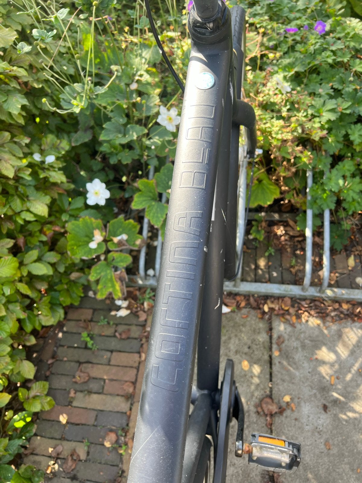 Cortina Blau herenfiets  - gebruikt, Terugtraprem, Gebruikt, Versnellingen, 61 tot 65 cm