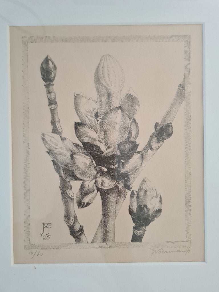 Litho Jan Voerman junior 1924, Ophalen