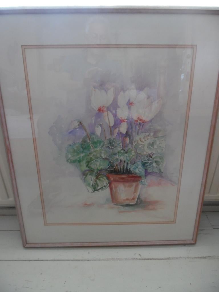 aquarel schilderij cyclamen, Ophalen of Verzenden
