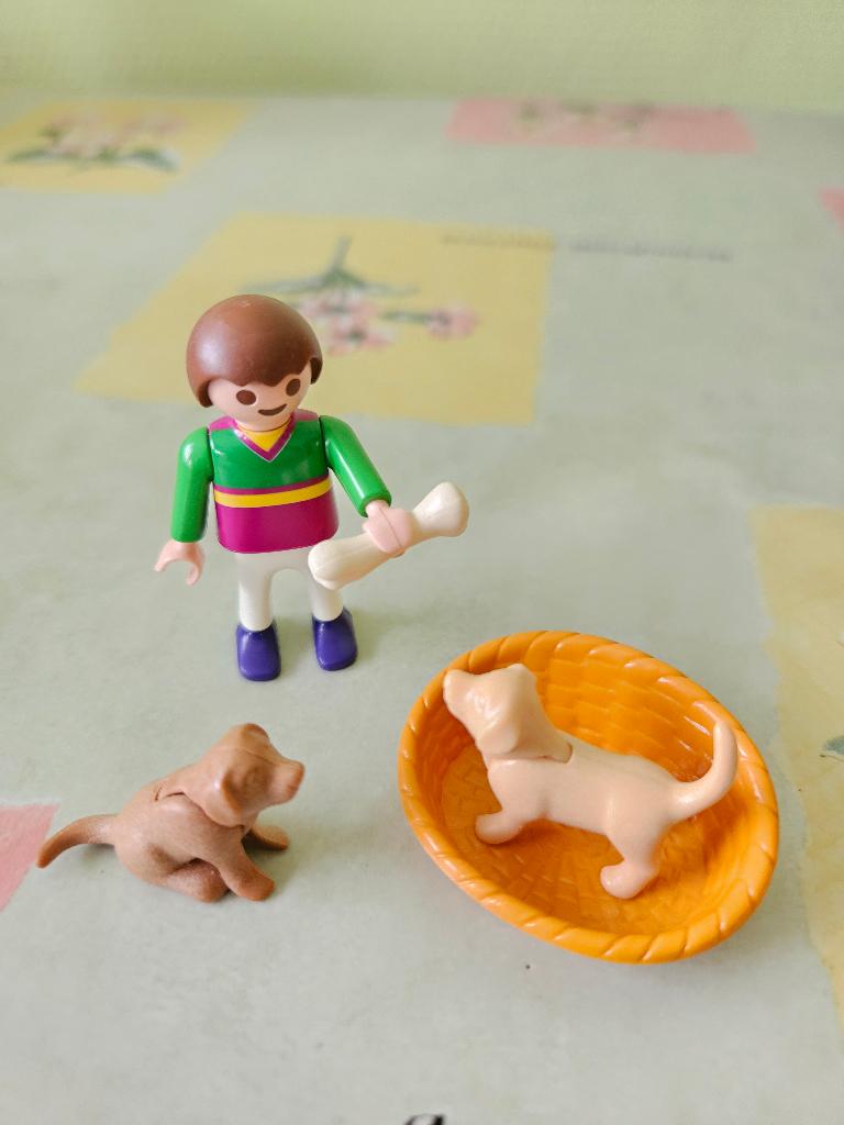 Playmobil 4598 Jongen met hondjes compleet, Ophalen of Verzenden, Zo goed als nieuw, Complete set