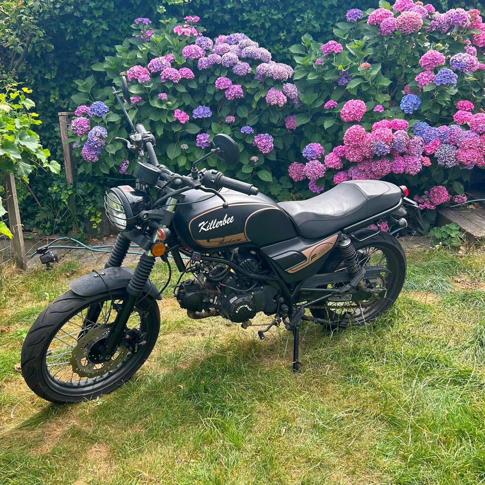Killerbee F-66 Mat Zwart, Fietsen en Brommers, Scooters | Overige merken, Gebruikt, Maximaal 45 km/u, Benzine, Ophalen