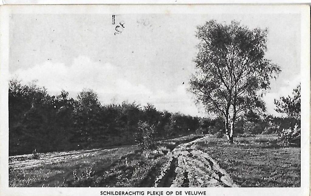 Veluwe Schilderachtig plekje Oude Gelopen Ansichtkaart 82, Ophalen of Verzenden, 1980 tot heden, Gelopen, Gelderland