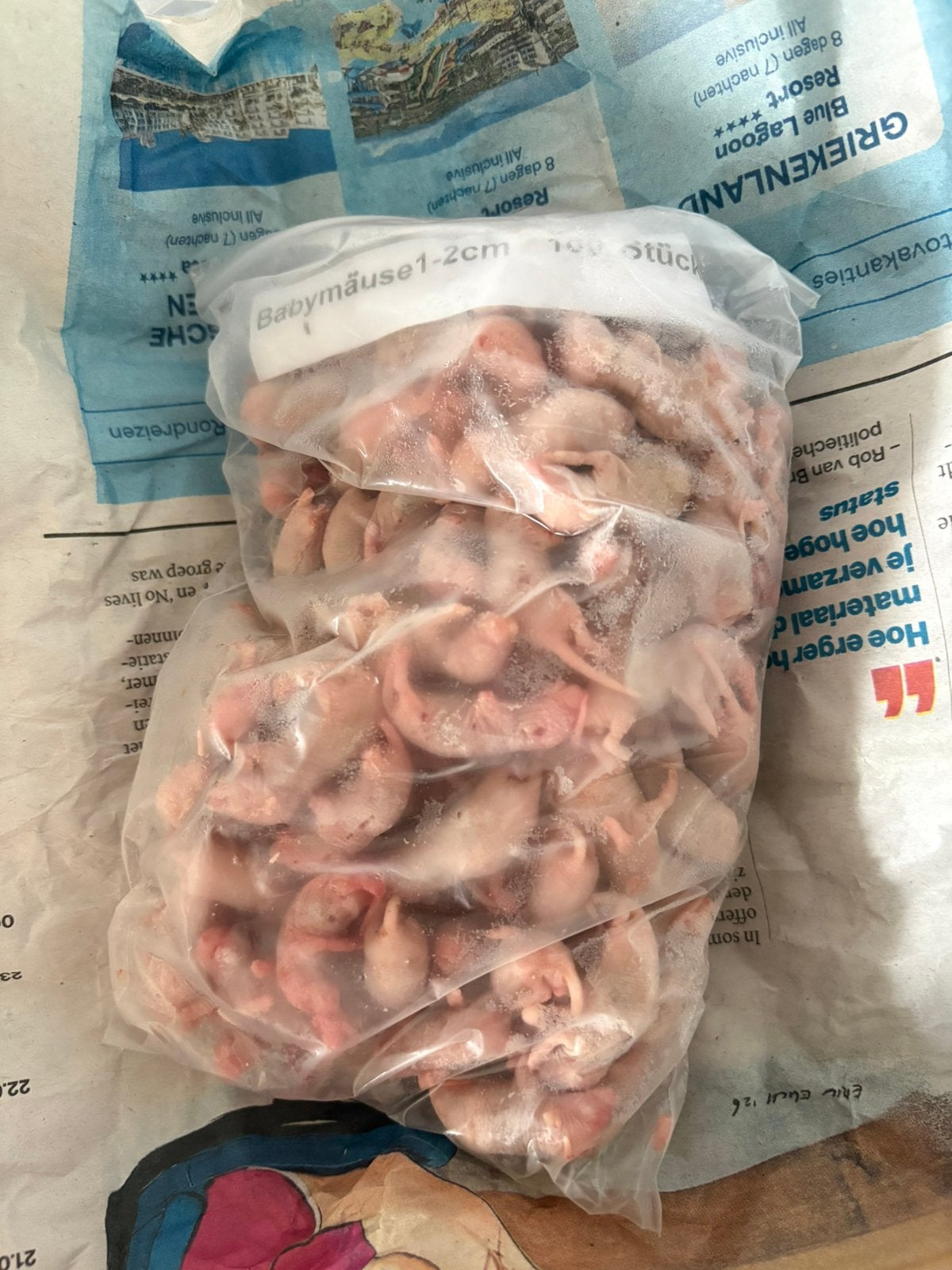 Baby muisjes / pinkies voer, Dieren en Toebehoren, Reptielen en Amfibieën, Slang, 0 tot 2 jaar