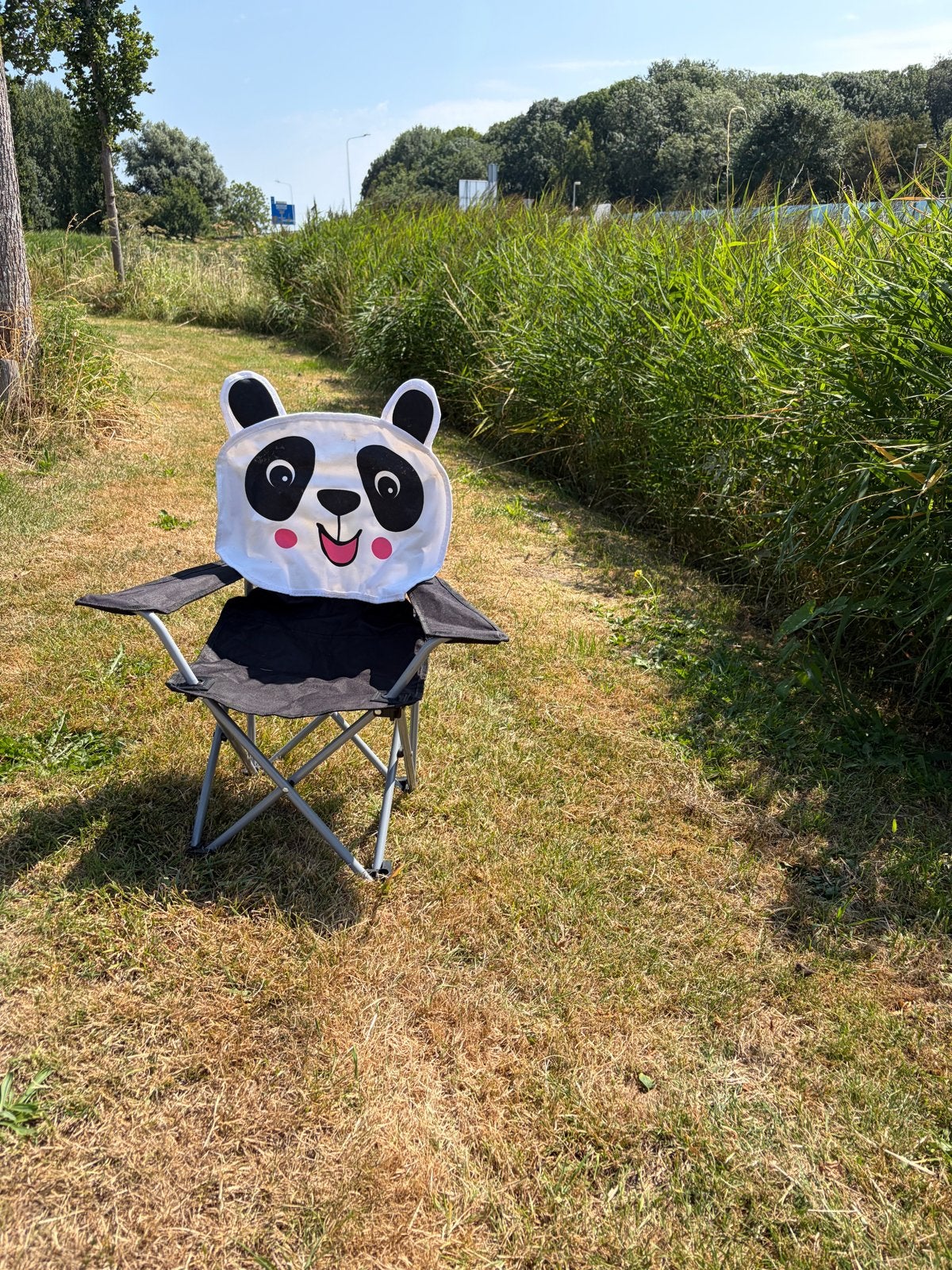 Leuke kinder campingstoel met panda design, Ophalen, Zo goed als nieuw, Campingstoel