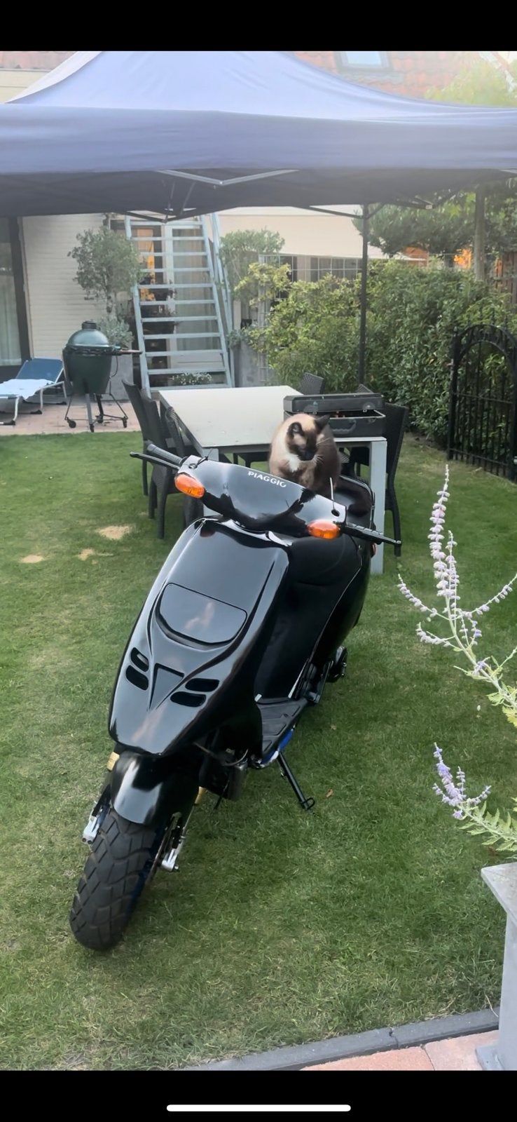 Piaggio Typhoon LC 70cc, Ophalen of Verzenden